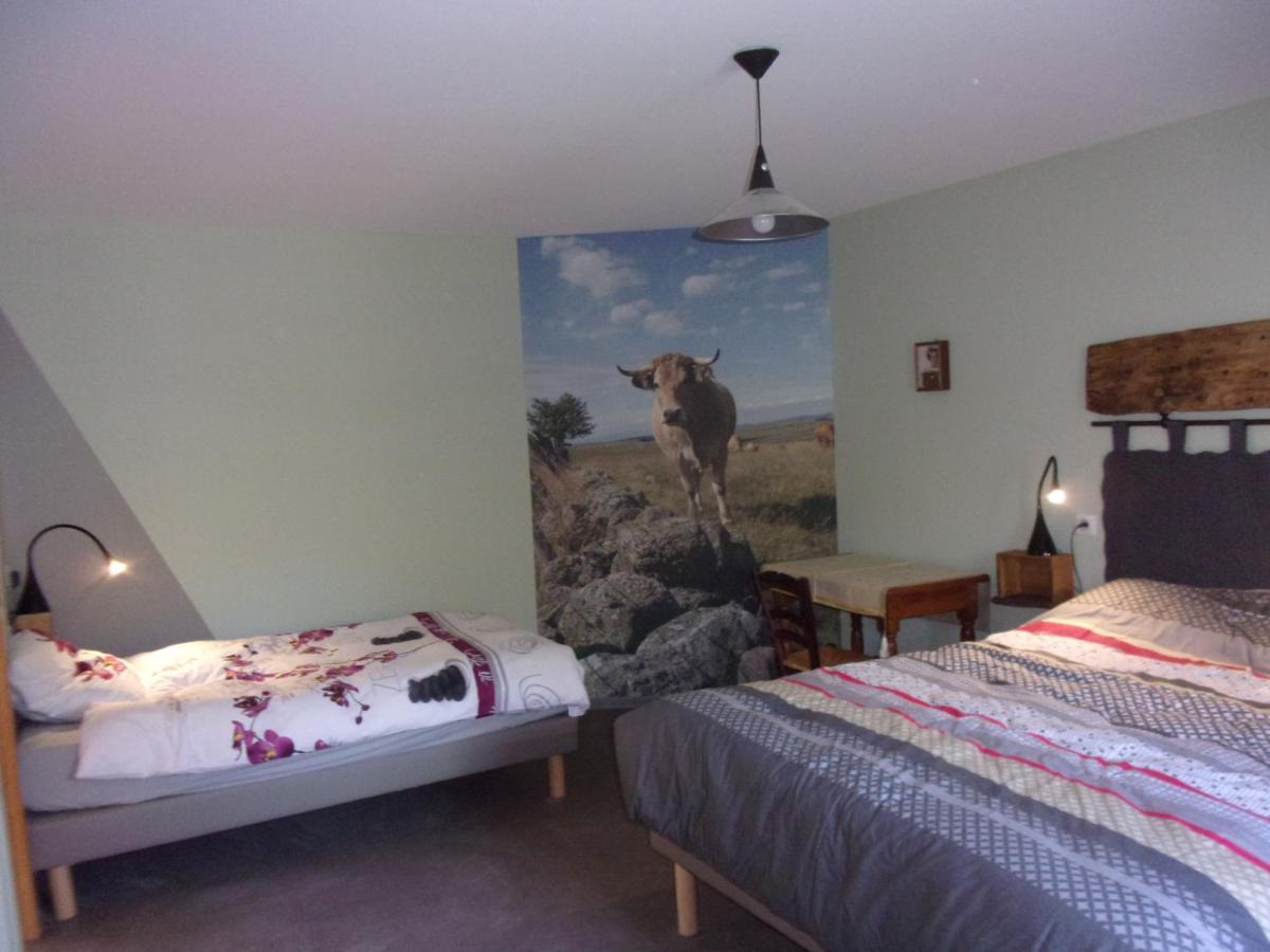 Banassac Chambre D'Hotes Le Cascadou المظهر الخارجي الصورة